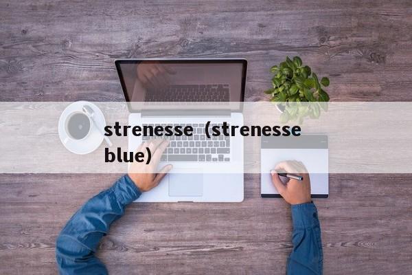 strenesse（strenesse blue）