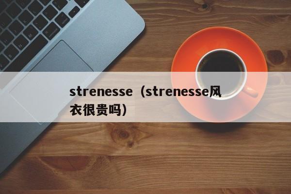 strenesse（strenesse风衣很贵吗）